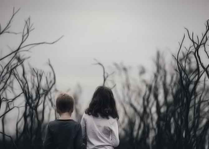 2025最新版本的器测压文章